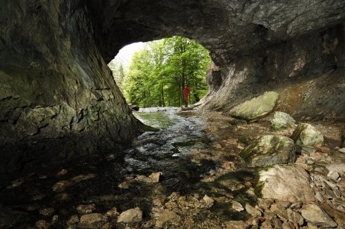 Grotte du Guiers Mort (Isère). Cette grotte constitue la sortie inférieure de l'important système de la Dent de Crolles (Mai 2005, Nikon D2X).(S 2007-0182)