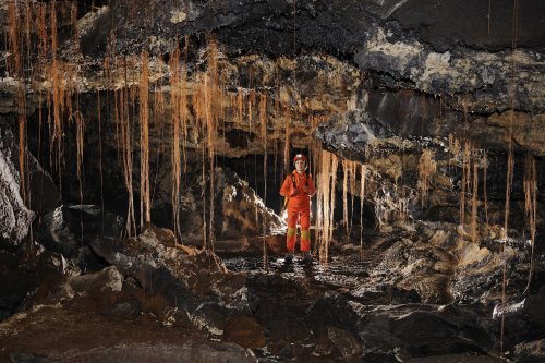 Hawaï (USA) - Tube de lave - Poha cave - Racines dans une galerie(sp-08-0127)