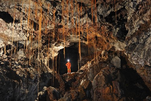 Hawaï (USA) - Tube de lave - Poha cave - Rideau de racines dans une galerie(sp-08-0135)