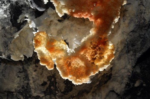 Hawaï (USA) - Tube de lave - Eli Cave - Croute de minéraux sur une paroi(sp-08-0196)