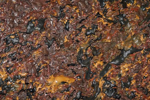 Hawaï (USA) - Tube de lave - Manu Nui - Eclaboussures de laves colorées sur une paroi(sp-08-0260)