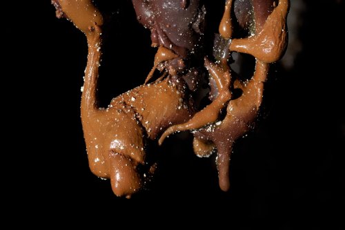 Hawaï (USA) - Tube de lave - Manu Nui - Concrétion colorée de lave projetée(sp-08-0280)