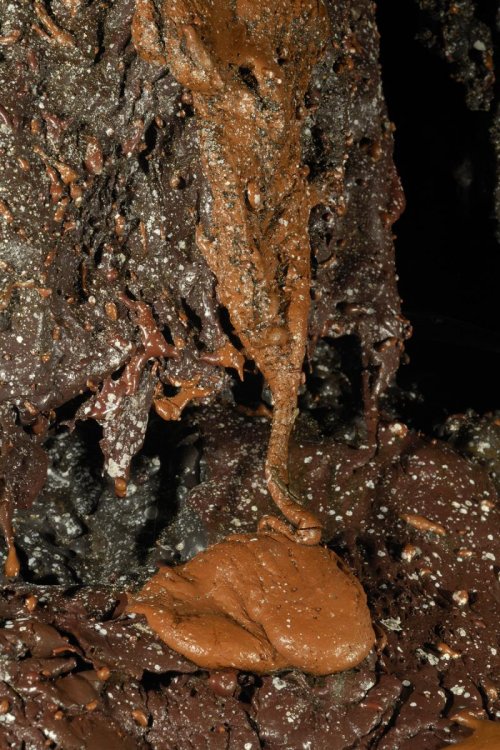 Hawaï (USA) - Tube de lave - Manu Nui - Petite coulée de lave colorée (caramel)(sp-08-0332)