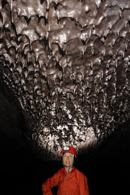 Hawaï (USA) - Tube de lave - Kazamura cave - Galerie avec "chocolate drops" au plafond (stalactites de lave fondue)(SP-08-0431)