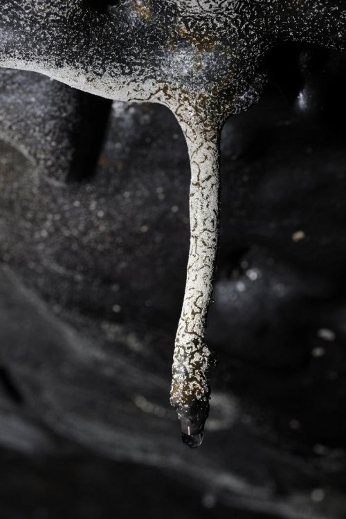 Hawaï (USA) - Tube de lave - Kazamura Cave - Petite stalactite de lave(sp-08-0444)