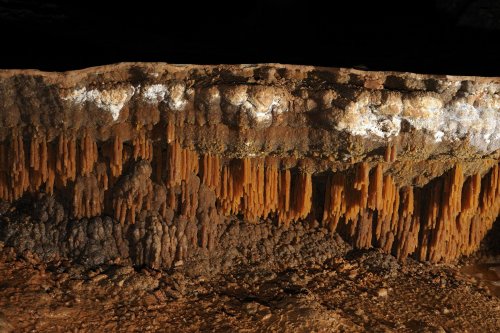 Grotte de Vitalis - Baguettes de gour ("poolfingers") (sp-08-0505)