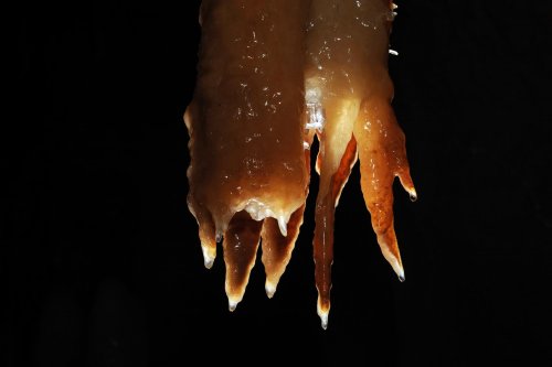 Stalactite se terminant avec plusieurs "doigts" (Ardèche)(sp-08-0622)