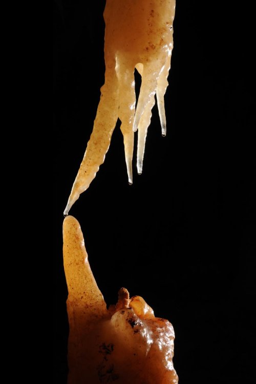 Stalagmite et stalactite se rejoignant (Ardèche) (sp-08-0625)
