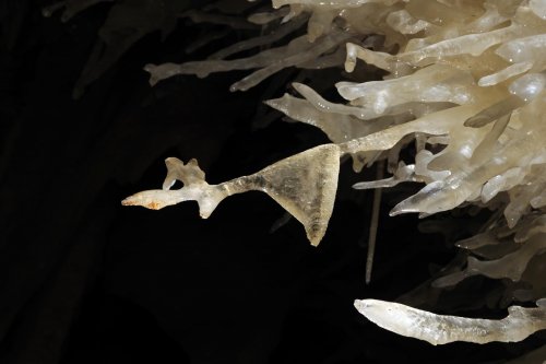 sp-08-0631(sp-08-0631.jpg)