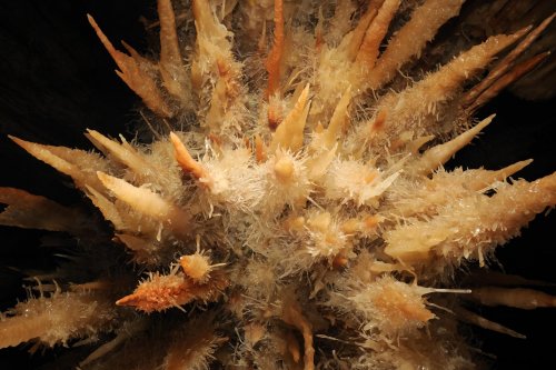 sp-08-0651(sp-08-0651.jpg)