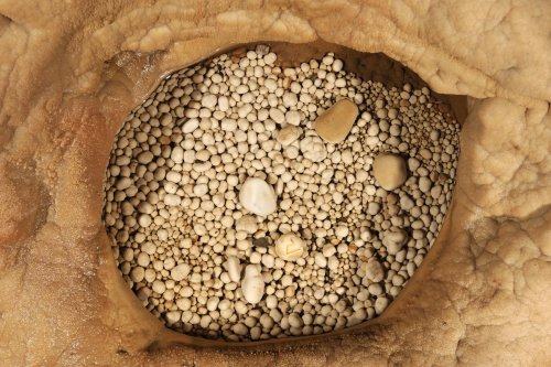 Perles des cavernes dans une petite marmite(sp-08-0941)