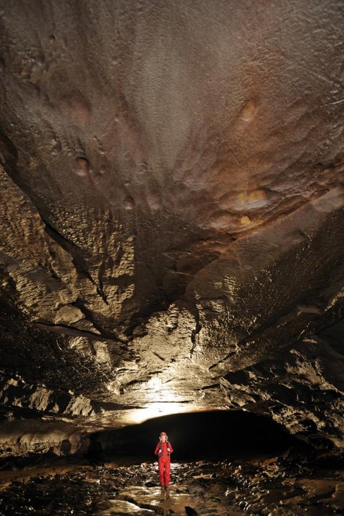 Mammoth Cave (Kentucky) - Petite principale de Logson River(SPE 09-0188)