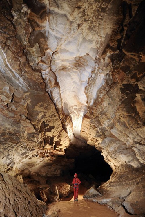 Mammoth Cave (Kentucky) - Galerie dans New Discovery avec couche de gypse au plafond(SPE 09-0203)