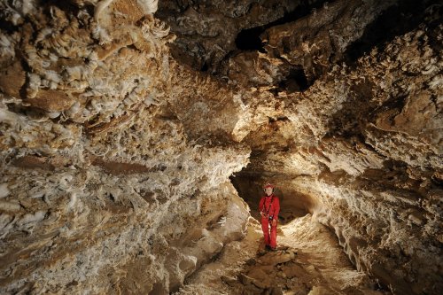 Mammoth Cave (Kentucky) - Galerie couverte de gypse dans New Discovery.(SPE 09-0207)