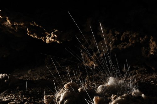 Mammoth Cave (Kentucky) -  Aiguilles de gypse(SPE 09-0275)