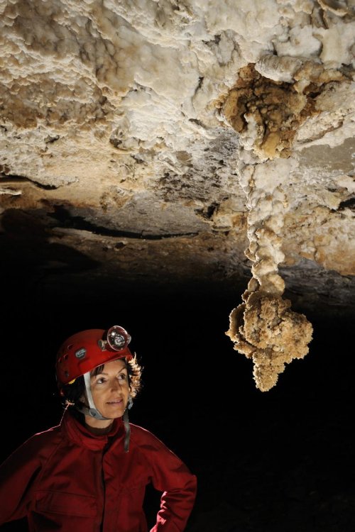 Mammoth Cave (Kentucky) - Grosse stalactite de gypse dans Turner Avenue(SPE 09-0293)