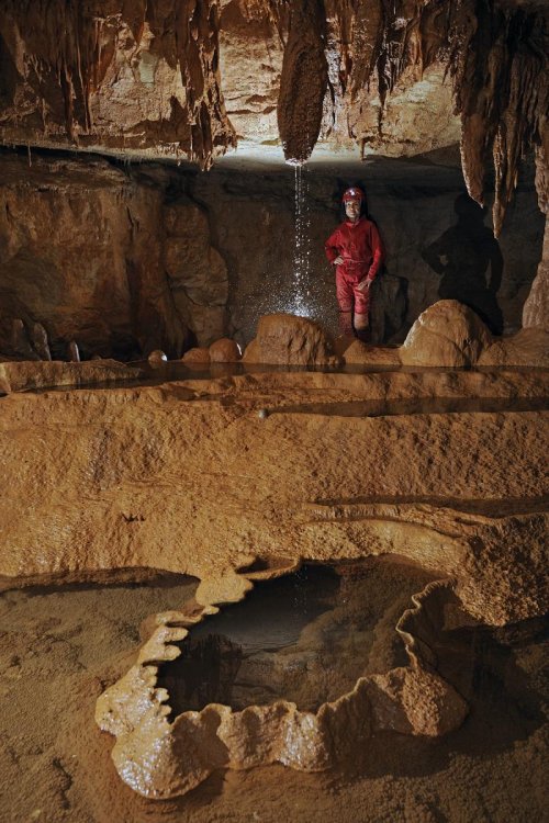 Blue Spring Cave (Tennessee) - Gours(SPE 09-0413)