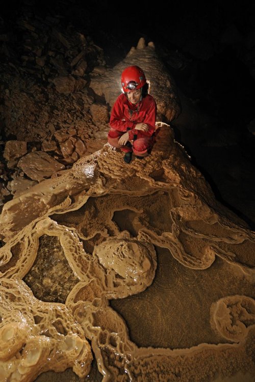 Blue Spring Cave (Tennessee) - Petits gours(SPE 09-0448)