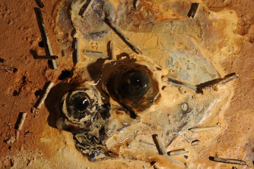 spe-10-0012(SPE 10-0012)