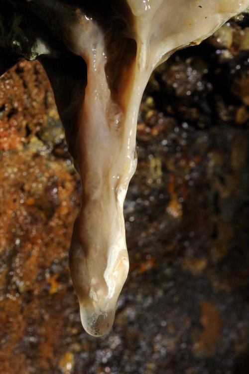 spe-10-0131(SPE 10-0131)