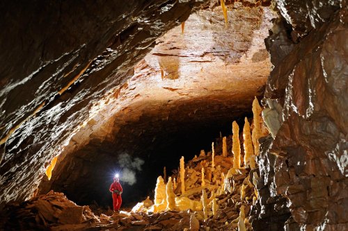Grotte du Cirque (Lot) - Ensemble de petites colonnes dans la galerie principale(SP 10-0425)