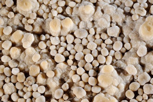 Grotte du TM 71 - Perles des cavernes(SP 10-0845)