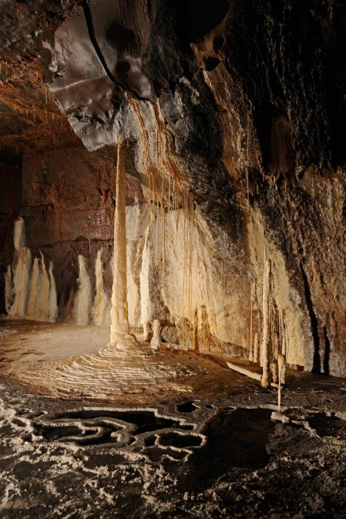 Ogof Ffynnon Ddu (Penwyllt, South Wales) - Colonnes avec petits gours de calcite à la base(SP 11-0299)