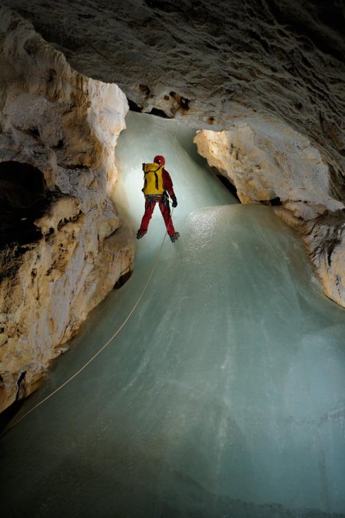 Eiskogelhöhle (Tennengebirge, Autriche) - Spéléologue descendant une coulée de glace(SP 11-0435)