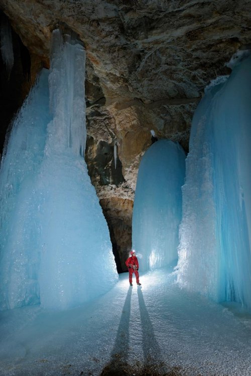 Eiskogelhöhle (Tennengebirge, Autriche) -  Spéléologue au pied de coulées de glace(SP 11-0485)