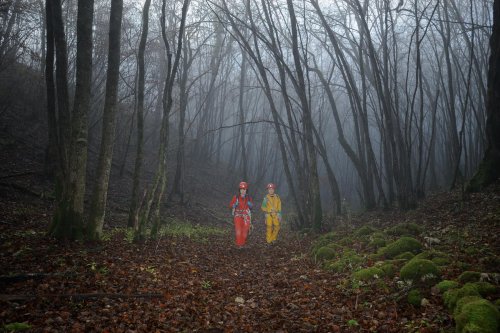 Combe aux Prêtres (Côte d'Or). Marche d'approche dans la brume.(SP 11-0694)