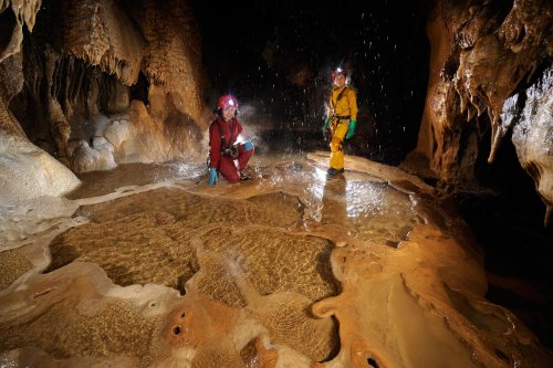 Combe aux Prêtres (Côte d'Or) - Galerie des Gours(SP 11-0715)