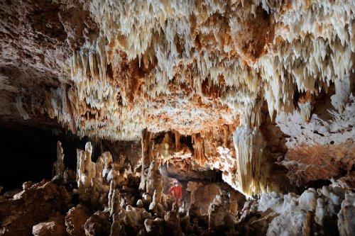 Cueva de Garibaldi IExpédition Cuba 2012 - Team La Salle. Spéléo au milieu d'une grande salle blanche concrétionnée.(SP-12-0160)