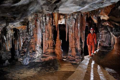 Cueva de Santo Tomas Expédition Cuba 2012 - Team La Salle. Spéléo debout à côté d'un groupe de colonnes.(SP-12-0207)
