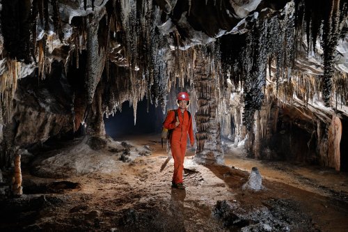 Cueva de Santo Tomas Expédition Cuba 2012 - Team La Salle. Spéléo dans galerie aux concrétions grises.(SP-12-0209)