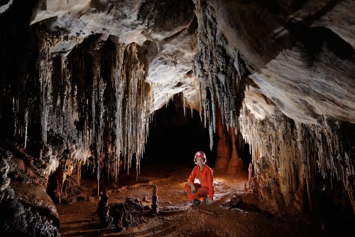 Cueva de Santo Tomas Expédition Cuba 2012 - Team La Salle. Galerie avec spéléo accroupie sous des stalactites grises massives.(SP-12-0246)