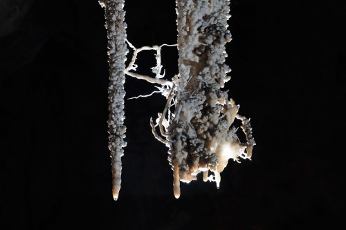 Cueva de Santo Tomas - Expédition Cuba 2012 - Team La Salle. Détail de concrétions.(SP-12-0255)