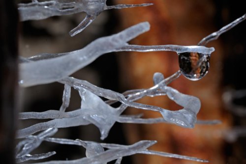Cueva de Santo Tomas - Expédition Cuba 2012 - Team La Salle. détail de fines concrétions avec goutte d'eau.(SP-12-270)