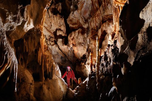 Postojnska Jama (Slovénie) - Galerie concrétionnée(SP-12-0431)