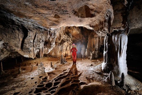 Postojnska Jama (Slovénie)- galerie concrétionnée(SP-12-0442)