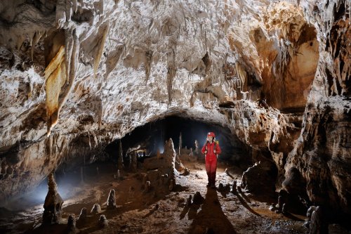 Postojnska Jama (Slovénie) - galerie concrétionnée(SP-12-0458)