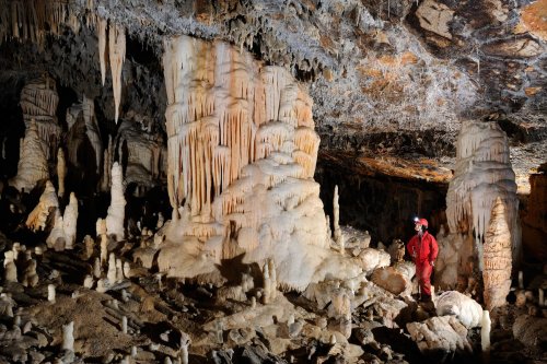 Postojnska Jama (Slovénie) - Grosse colonne (SP-12-0461)