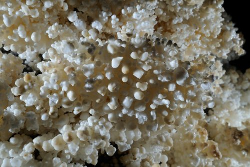 Josef Egyi Barlang (Hongrie) - Détail gypse "pop corn" (SP-12-0507)