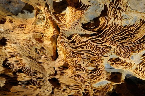 Pal Volgyi Barlang (Hongrie) - Folia au plafond d'une galerie(dépôts de calcite par l'eau)(SP-12-0551)
