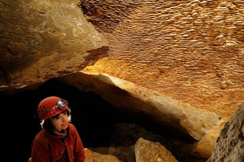 Pal Volgyi Barlang (Hongrie) - Folia sur une paroi (dépôts de calcite par l'eau)(SP-12-0563)