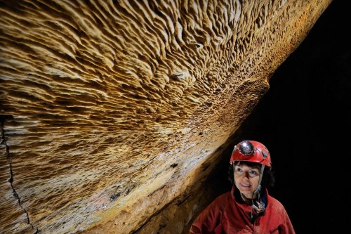 Pal Volgyi Barlang (Hongrie) - Folia sur une paroi (dépôts de calcite par l'eau)(SP-12-0577)