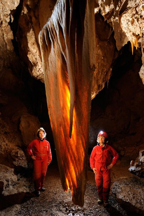 Baradla Barlang (Hongrie)n - Draperie(SP-12-0630)