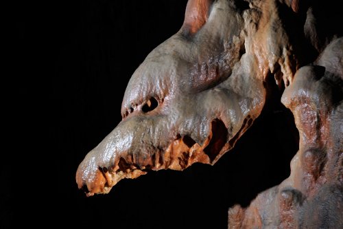 Baradla Barlang (Hongrie) - Tête de loup ...(SP-12-0650)