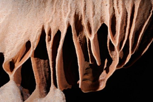 Vass Imre Barlang (Hongrie) -  - Détail de petites draperies sur une coulée de calcite(SP-12-0661)