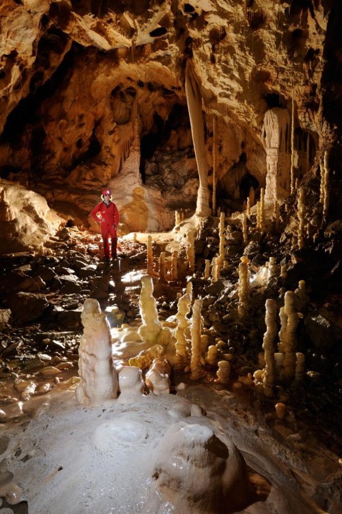 Pestera Ursilor - Ensemble de stalagmites(SP-12-0720)