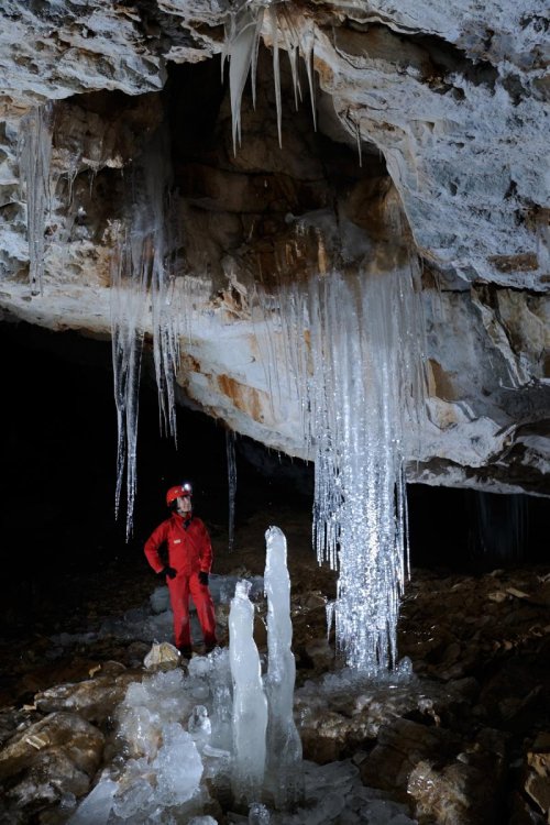 Ghetorul Vartop (Roumanie)  - Salle avec piliers de glace(SP-12-0777)